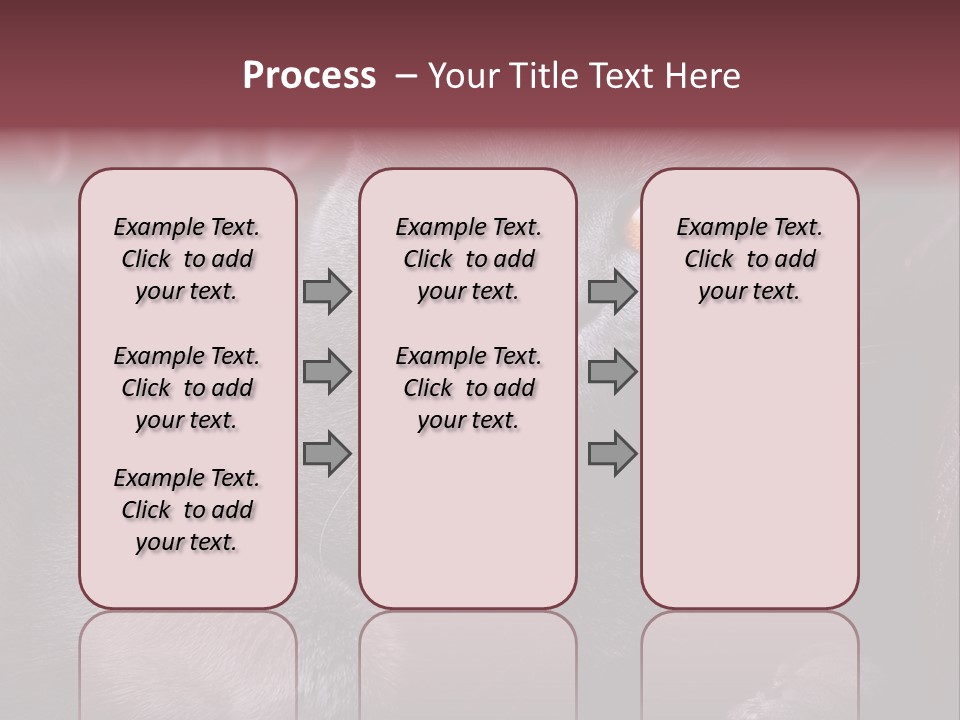British Cat PowerPoint Template