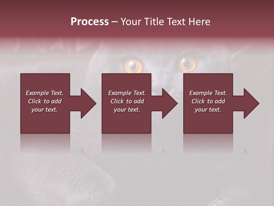 British Cat PowerPoint Template