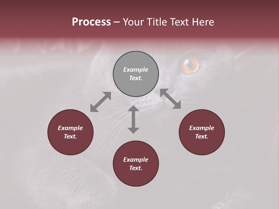 British Cat PowerPoint Template