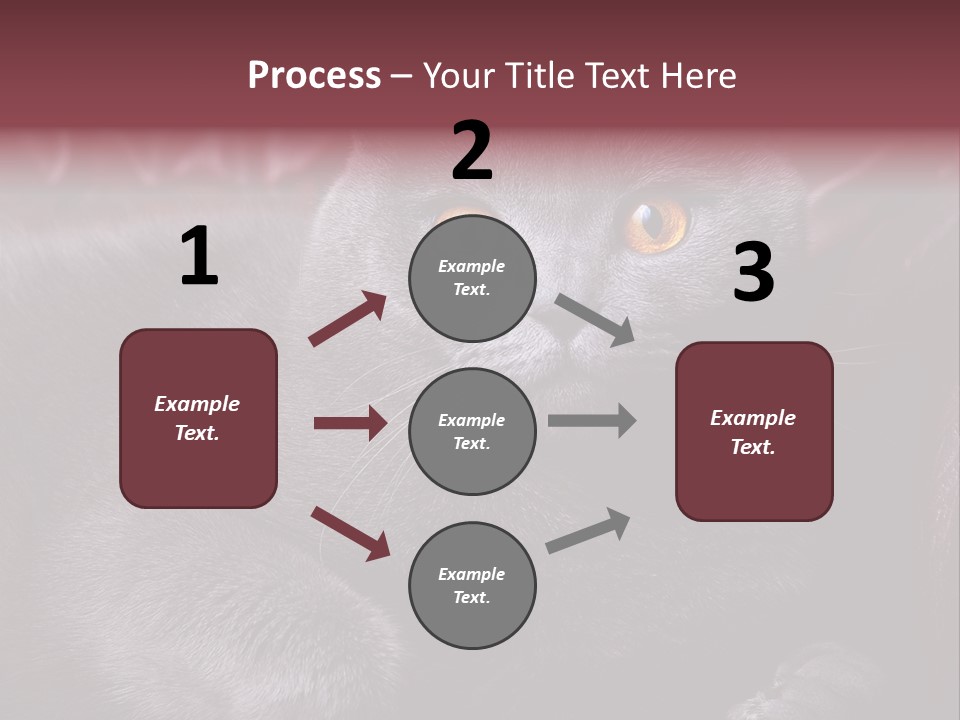 British Cat PowerPoint Template