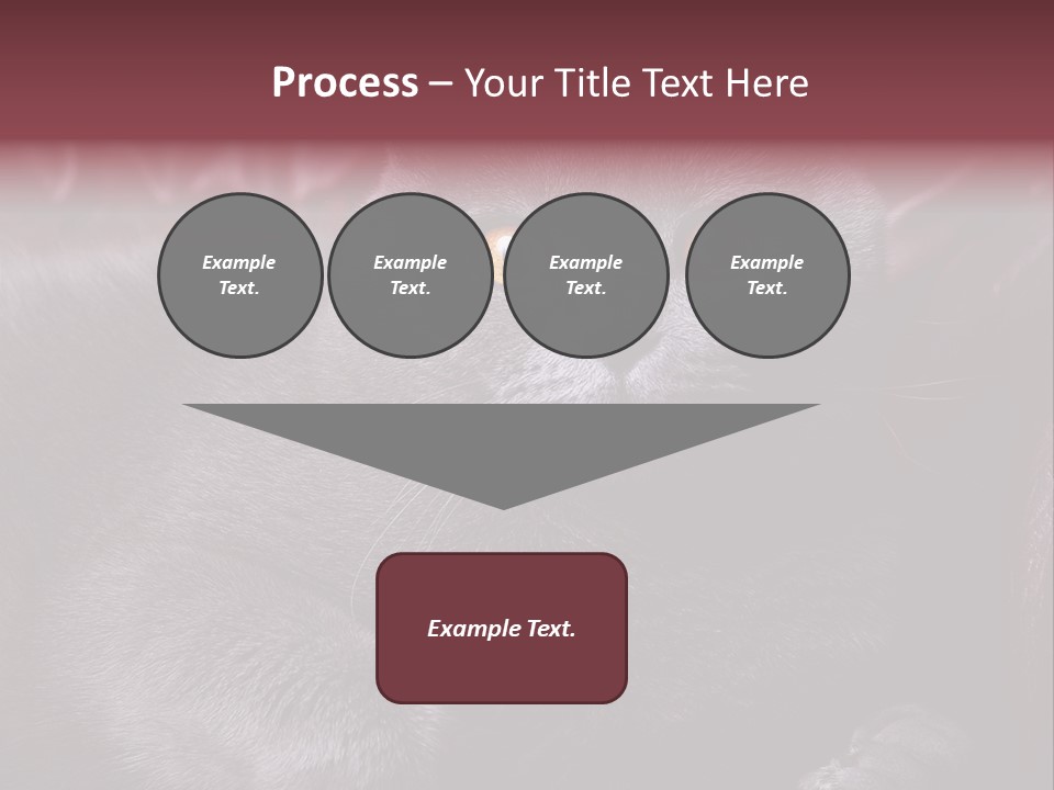 British Cat PowerPoint Template