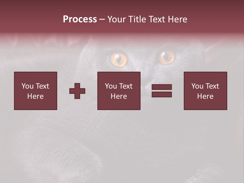 British Cat PowerPoint Template