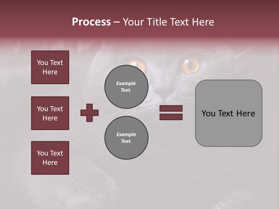 British Cat PowerPoint Template