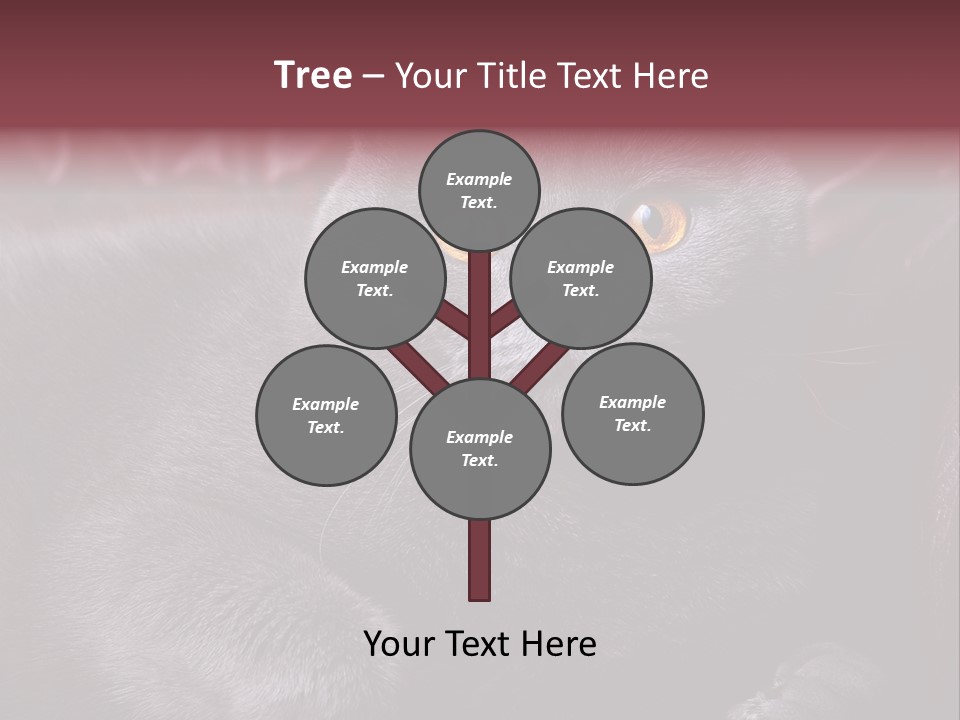 British Cat PowerPoint Template