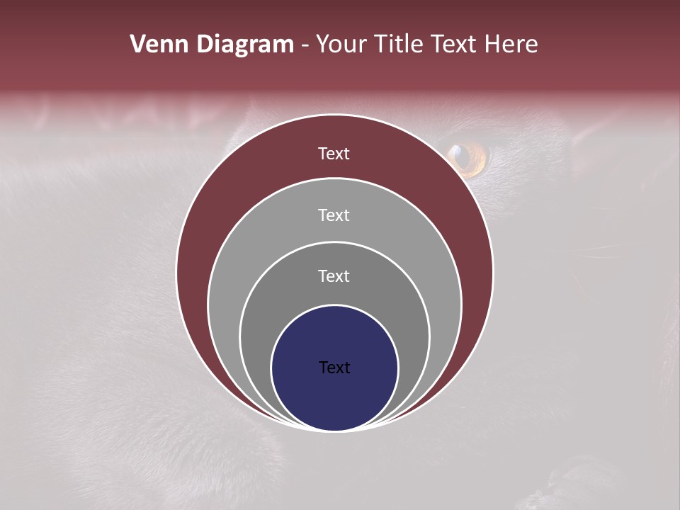 British Cat PowerPoint Template