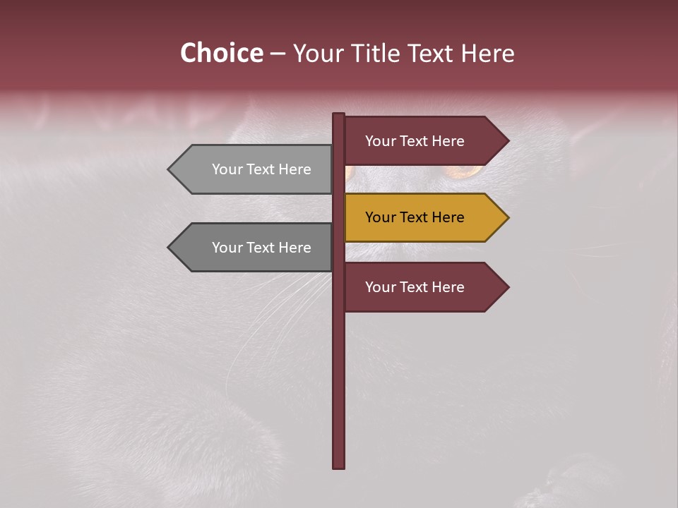 British Cat PowerPoint Template