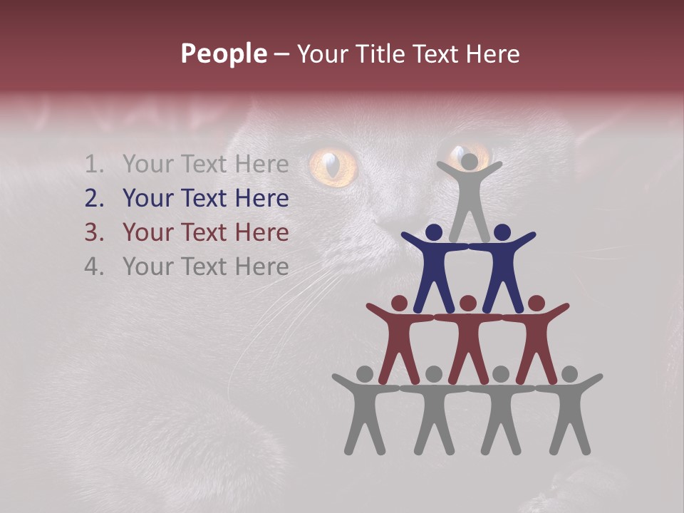 British Cat PowerPoint Template