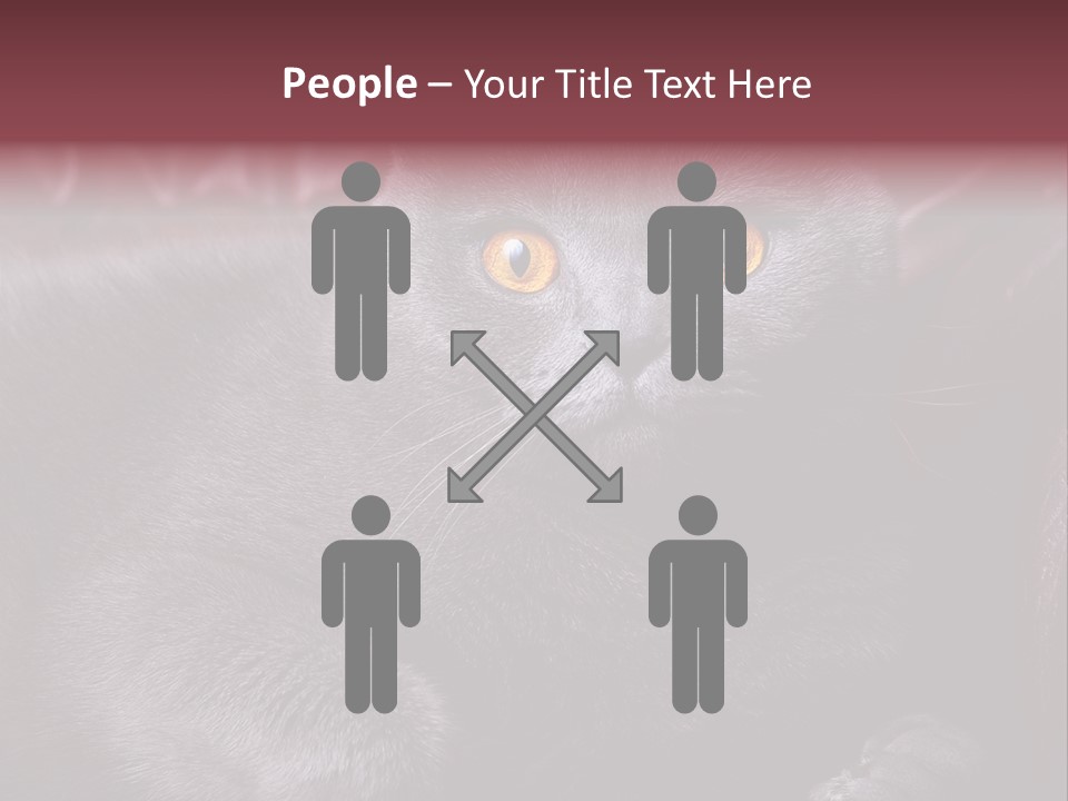 British Cat PowerPoint Template