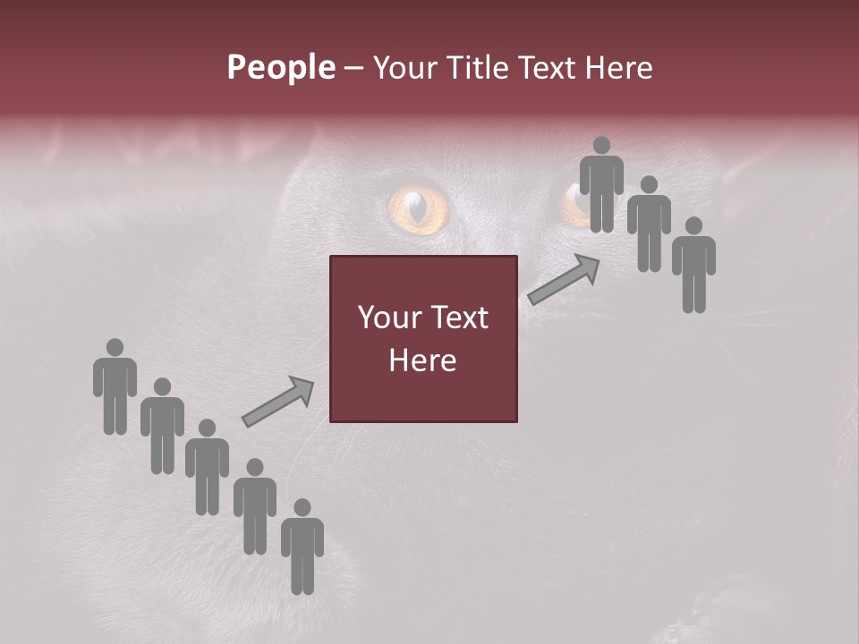 British Cat PowerPoint Template