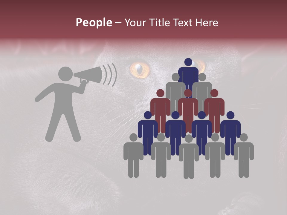 British Cat PowerPoint Template