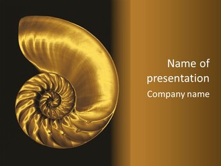 Chambered Nautilus PowerPoint Template