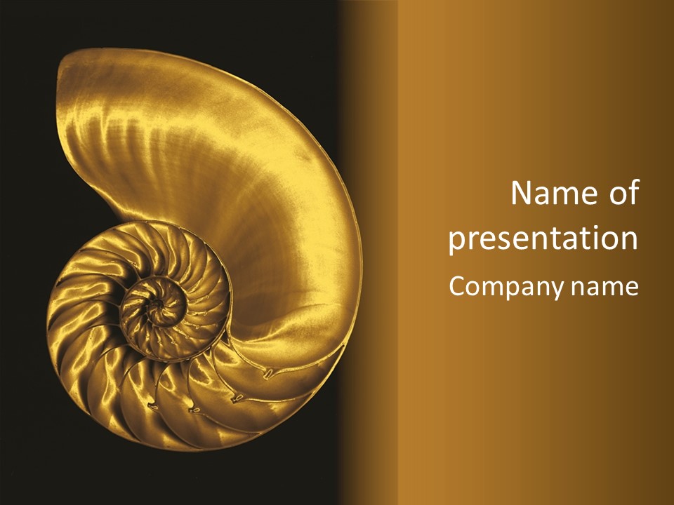 Chambered Nautilus PowerPoint Template