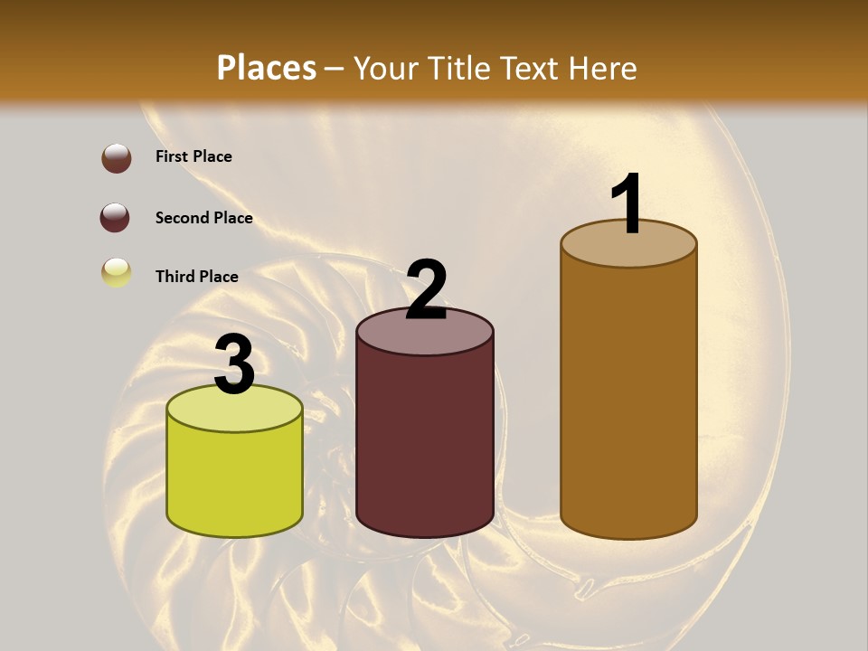 Chambered Nautilus PowerPoint Template