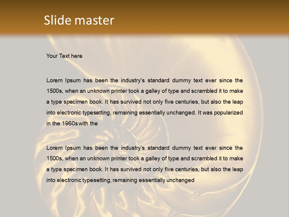 Chambered Nautilus PowerPoint Template