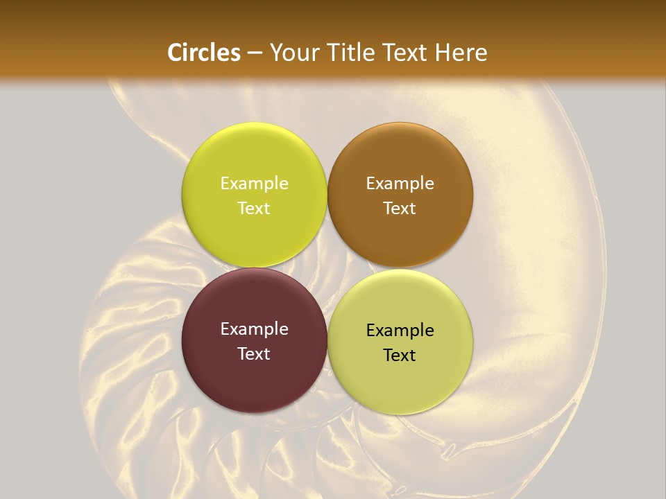 Chambered Nautilus PowerPoint Template