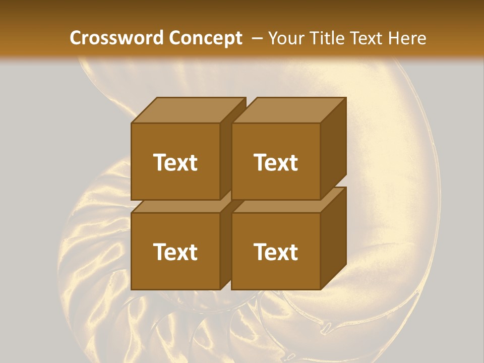 Chambered Nautilus PowerPoint Template