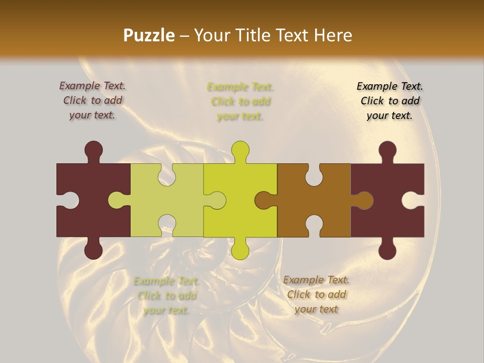 Chambered Nautilus PowerPoint Template