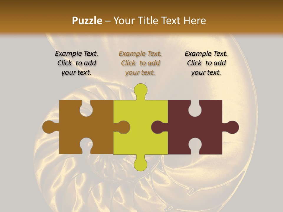 Chambered Nautilus PowerPoint Template