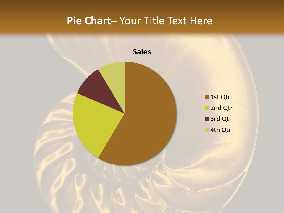 Chambered Nautilus PowerPoint Template