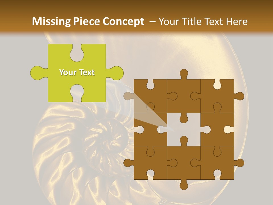 Chambered Nautilus PowerPoint Template