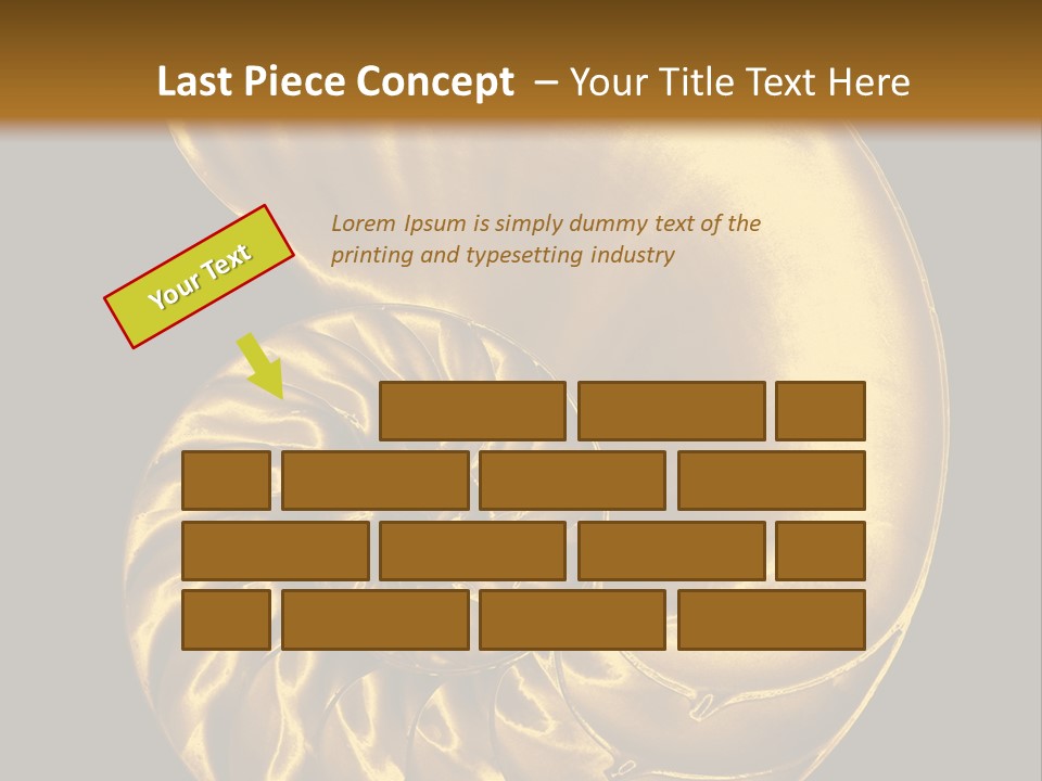 Chambered Nautilus PowerPoint Template