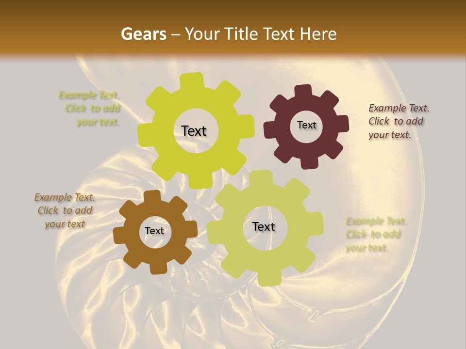 Chambered Nautilus PowerPoint Template