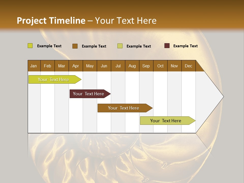 Chambered Nautilus PowerPoint Template