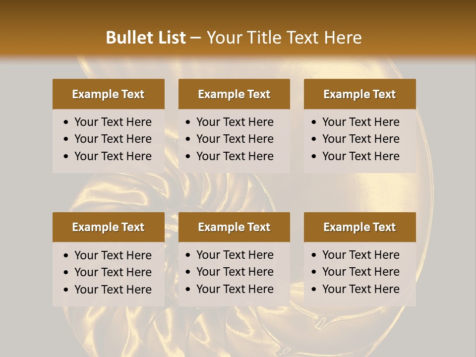 Chambered Nautilus PowerPoint Template