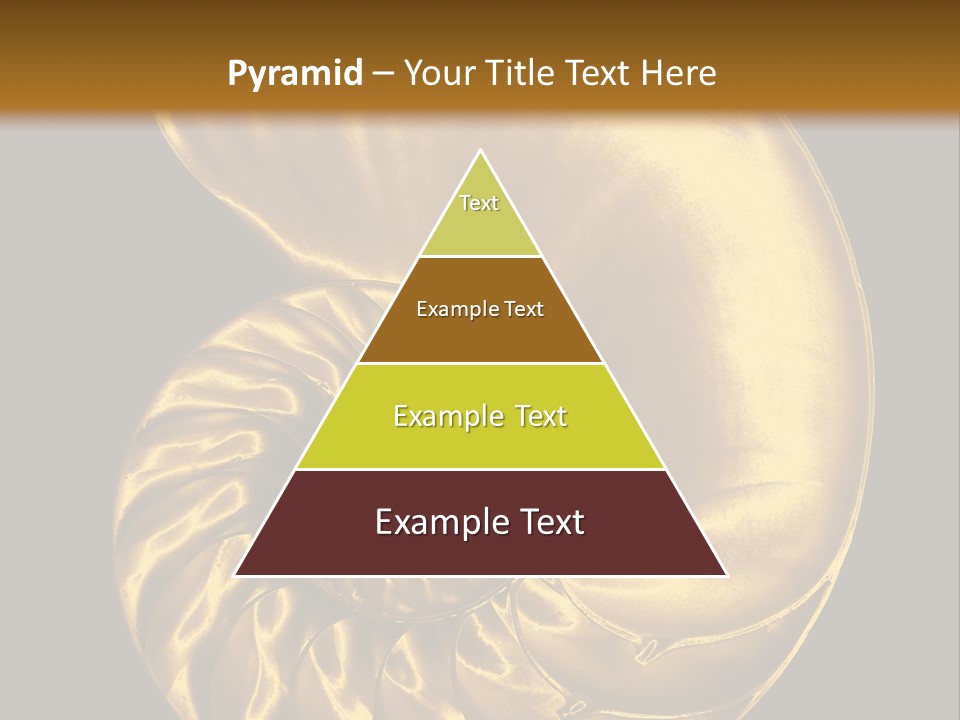 Chambered Nautilus PowerPoint Template