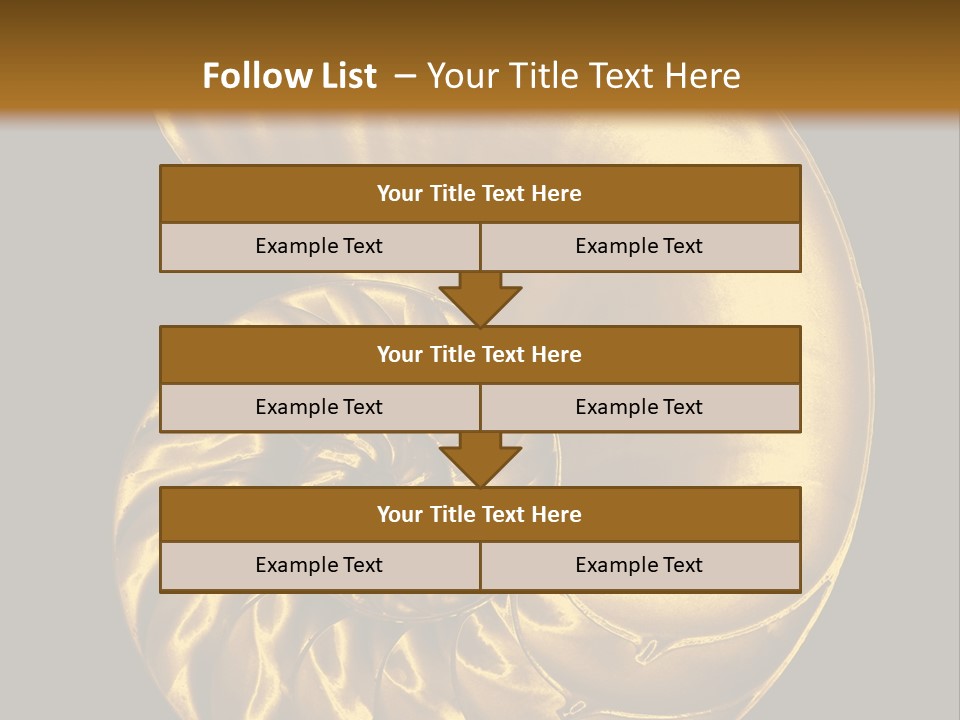 Chambered Nautilus PowerPoint Template