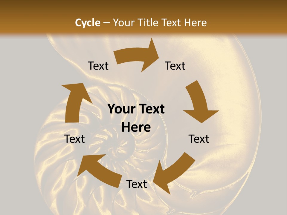 Chambered Nautilus PowerPoint Template