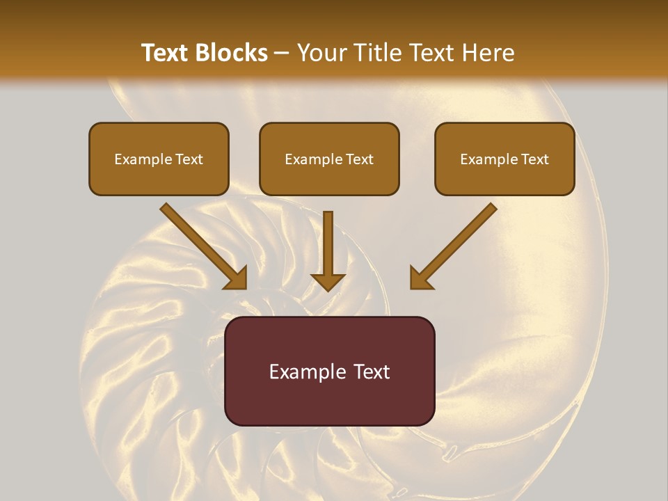 Chambered Nautilus PowerPoint Template