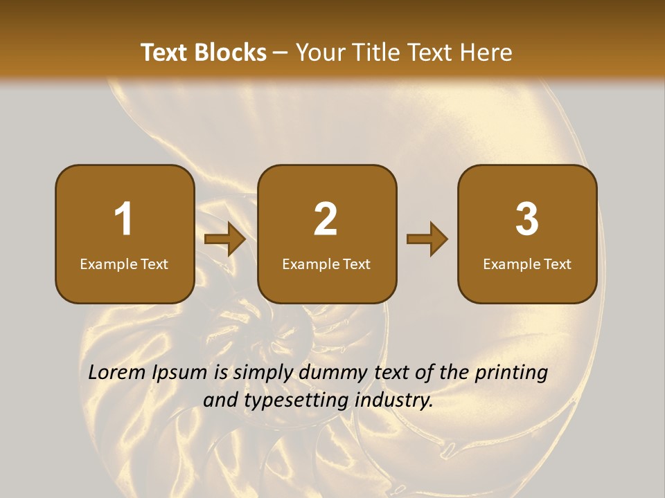 Chambered Nautilus PowerPoint Template