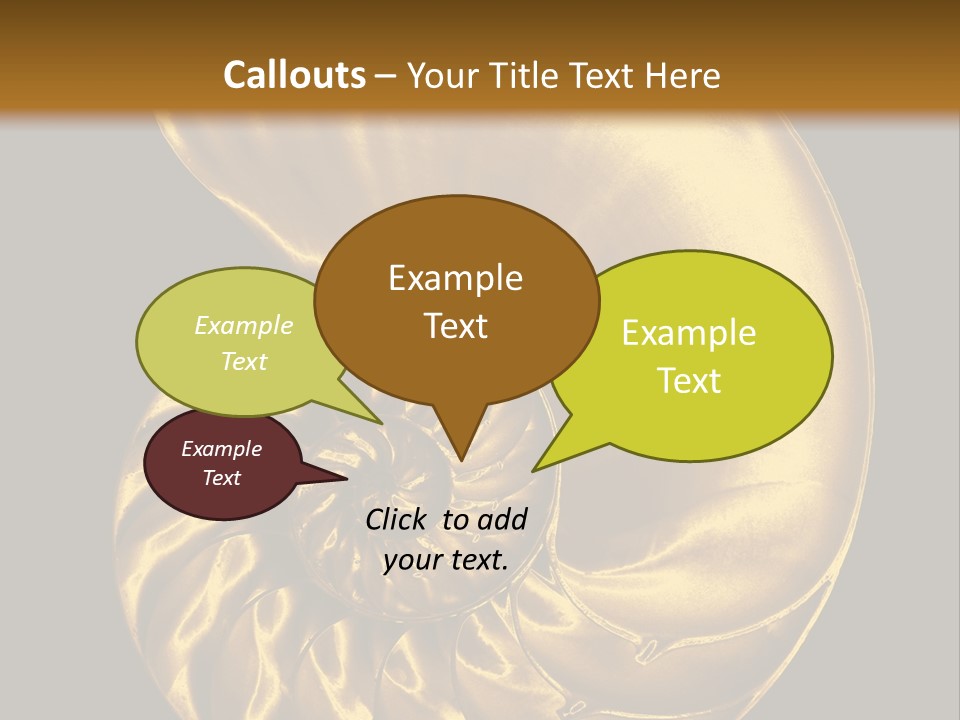 Chambered Nautilus PowerPoint Template