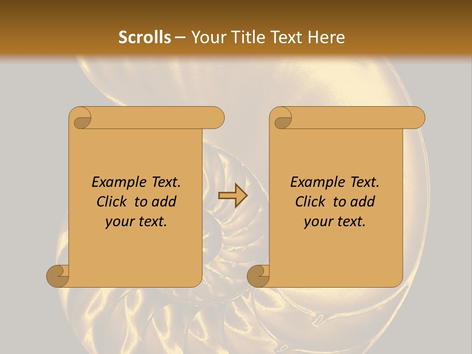Chambered Nautilus PowerPoint Template
