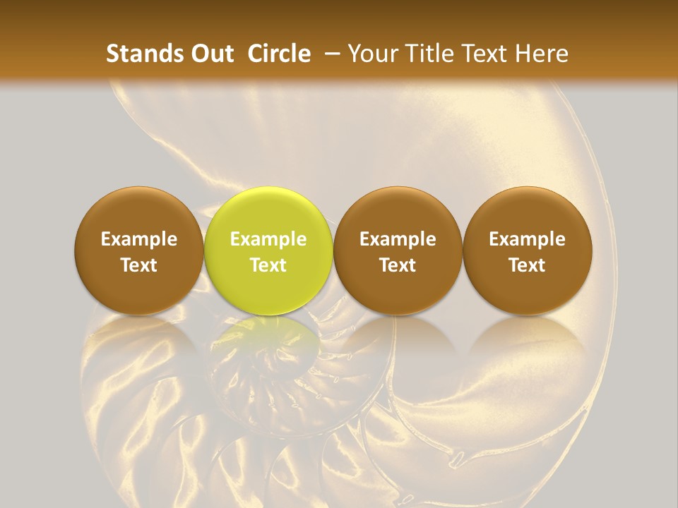 Chambered Nautilus PowerPoint Template