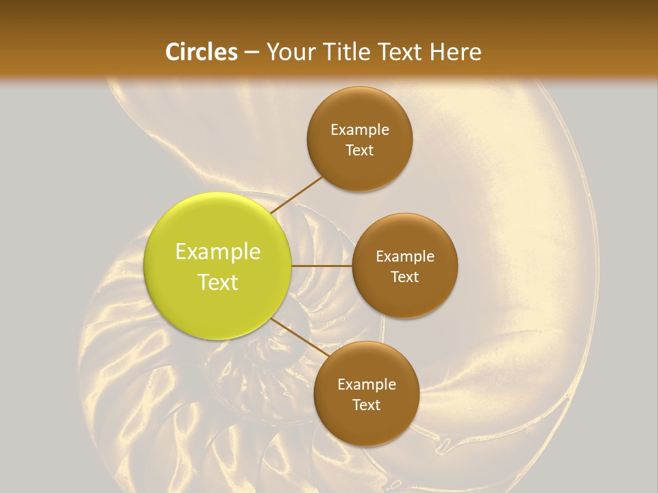 Chambered Nautilus PowerPoint Template