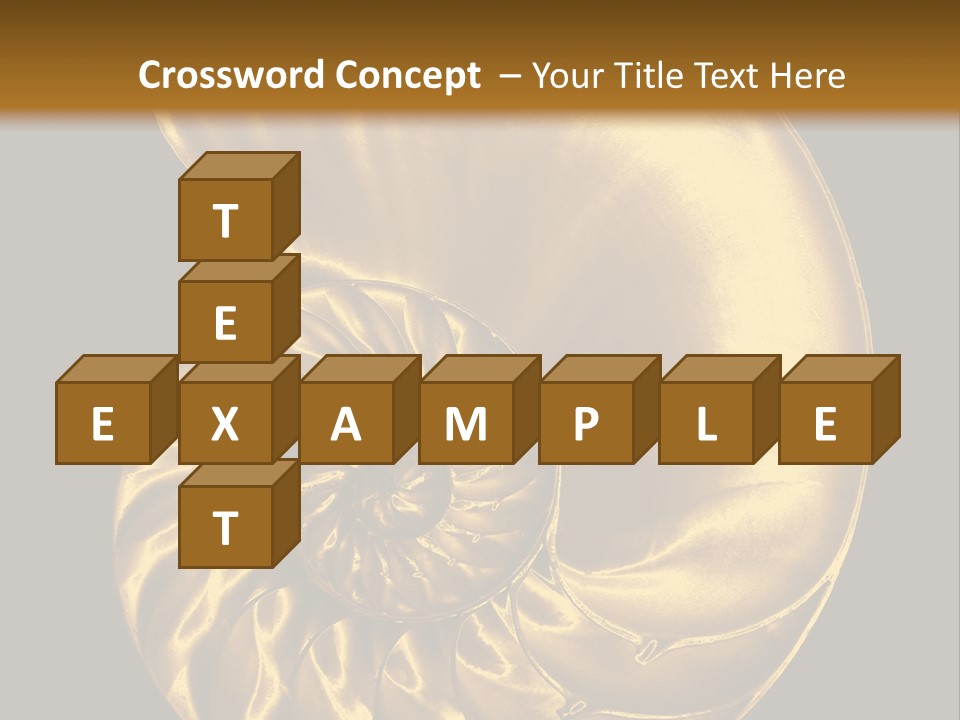 Chambered Nautilus PowerPoint Template