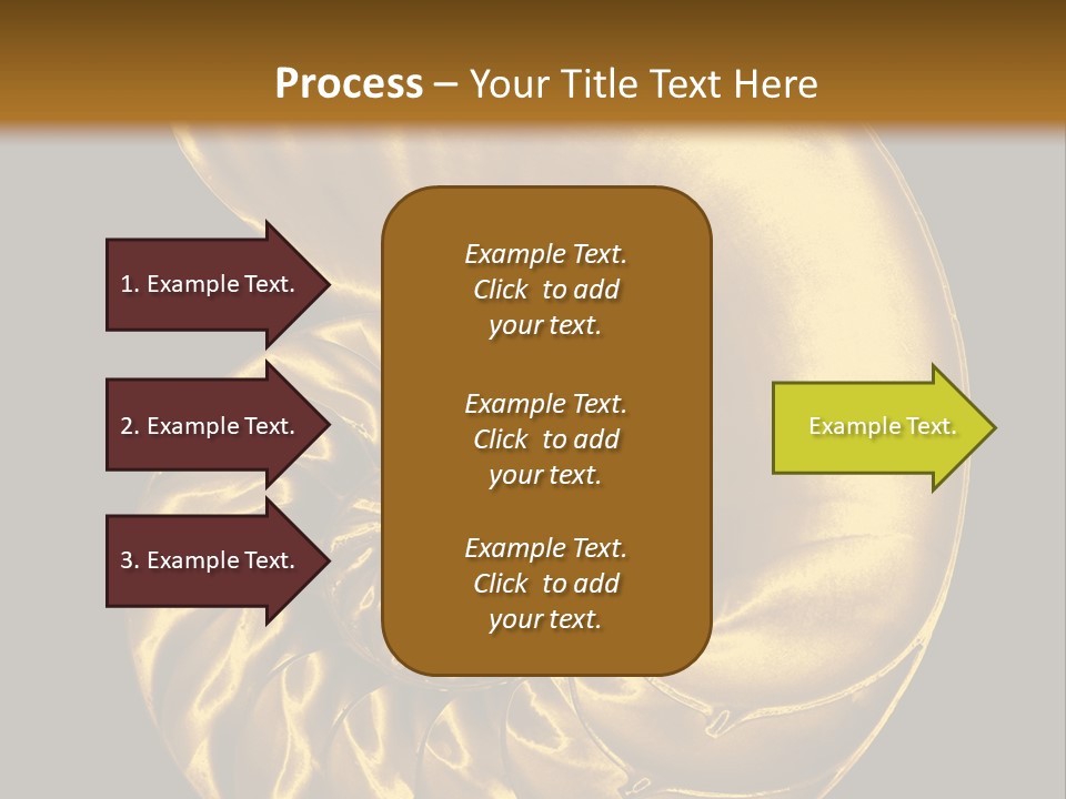 Chambered Nautilus PowerPoint Template