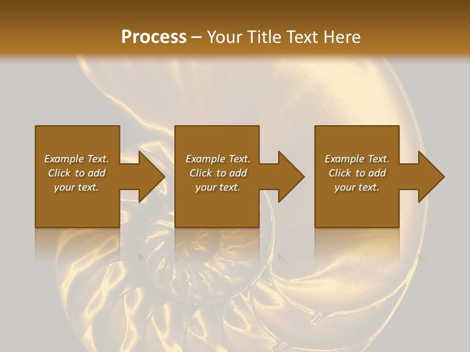 Chambered Nautilus PowerPoint Template