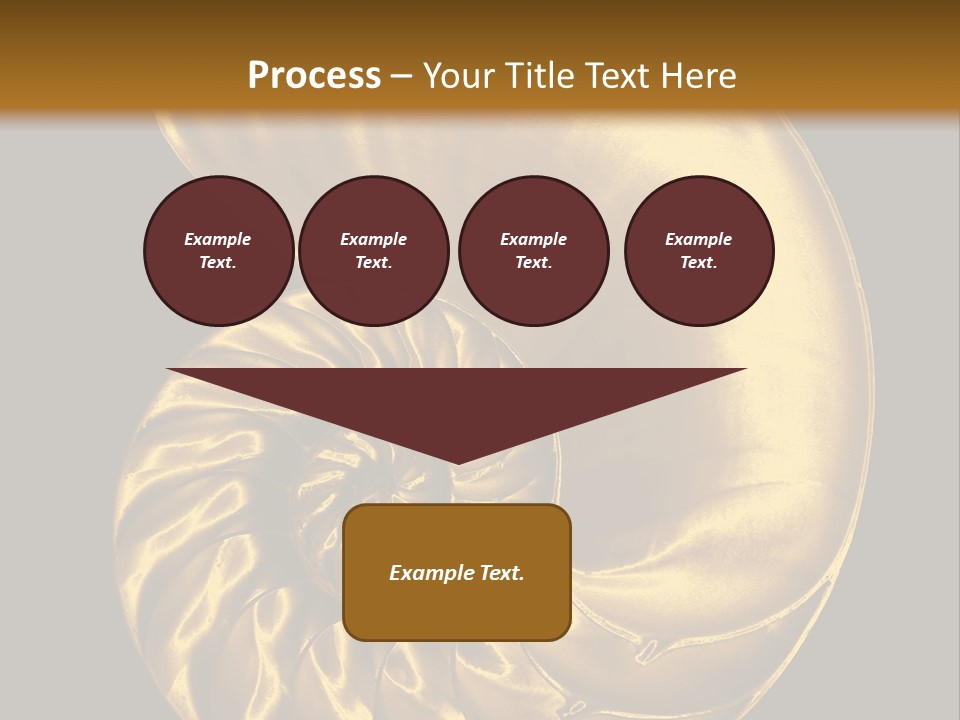 Chambered Nautilus PowerPoint Template