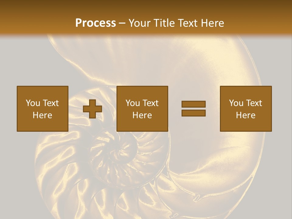 Chambered Nautilus PowerPoint Template