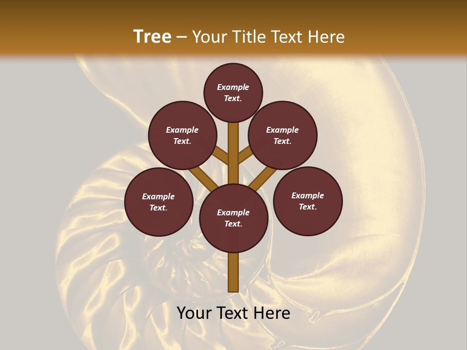 Chambered Nautilus PowerPoint Template