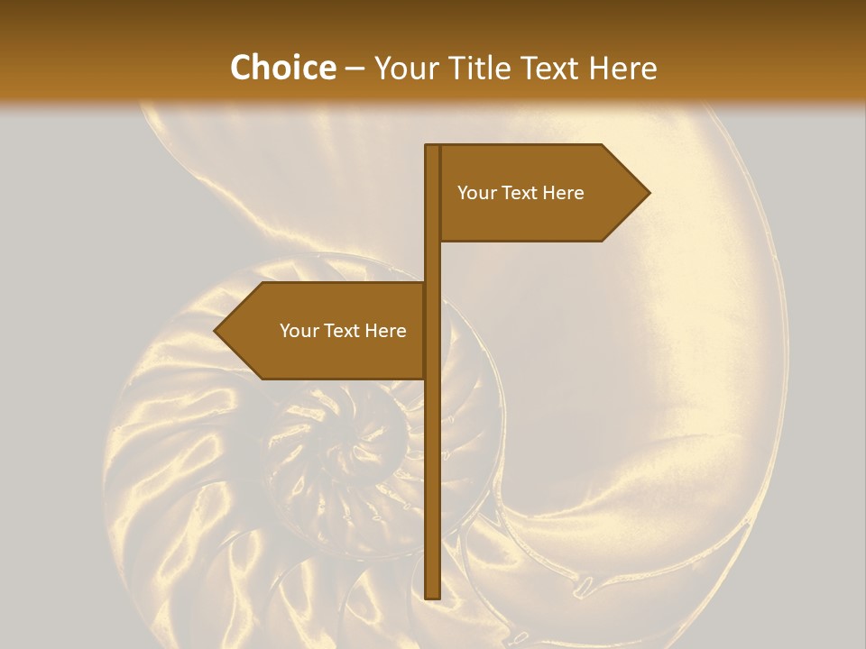 Chambered Nautilus PowerPoint Template