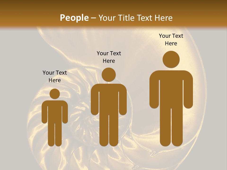 Chambered Nautilus PowerPoint Template