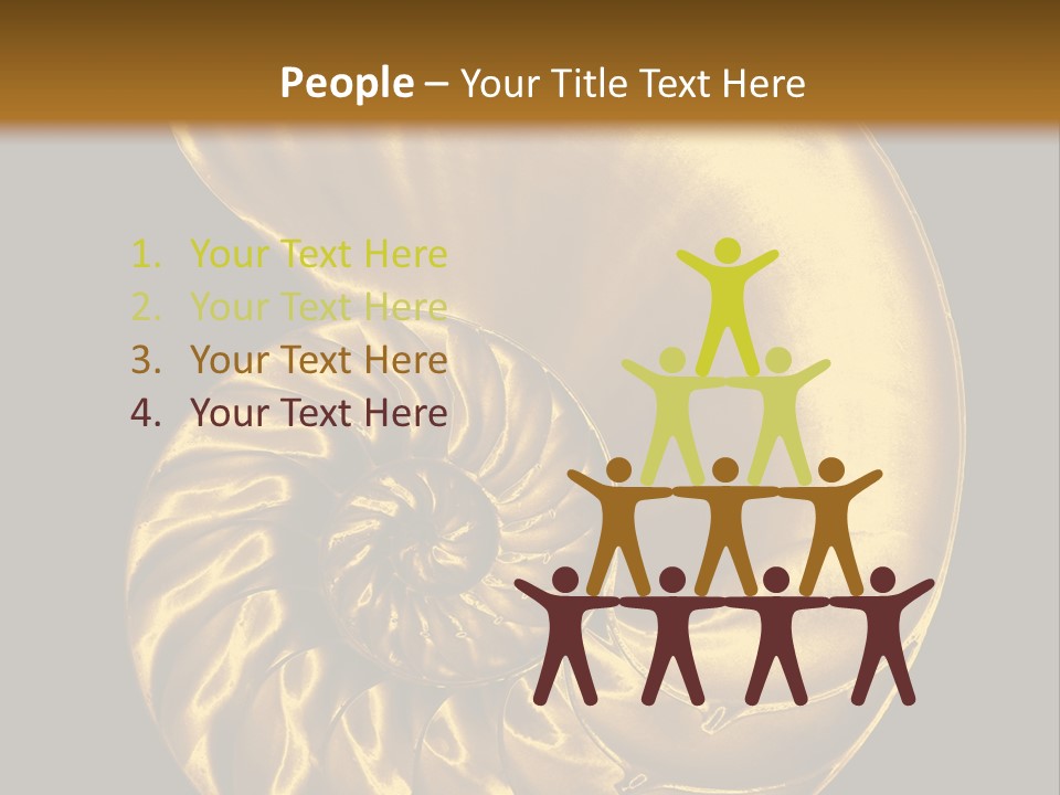 Chambered Nautilus PowerPoint Template