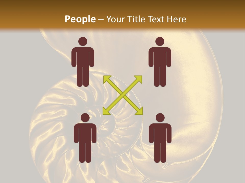 Chambered Nautilus PowerPoint Template