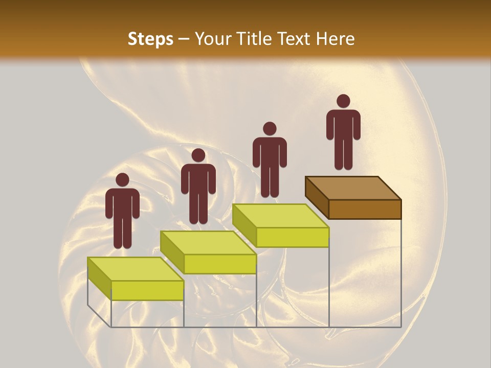 Chambered Nautilus PowerPoint Template