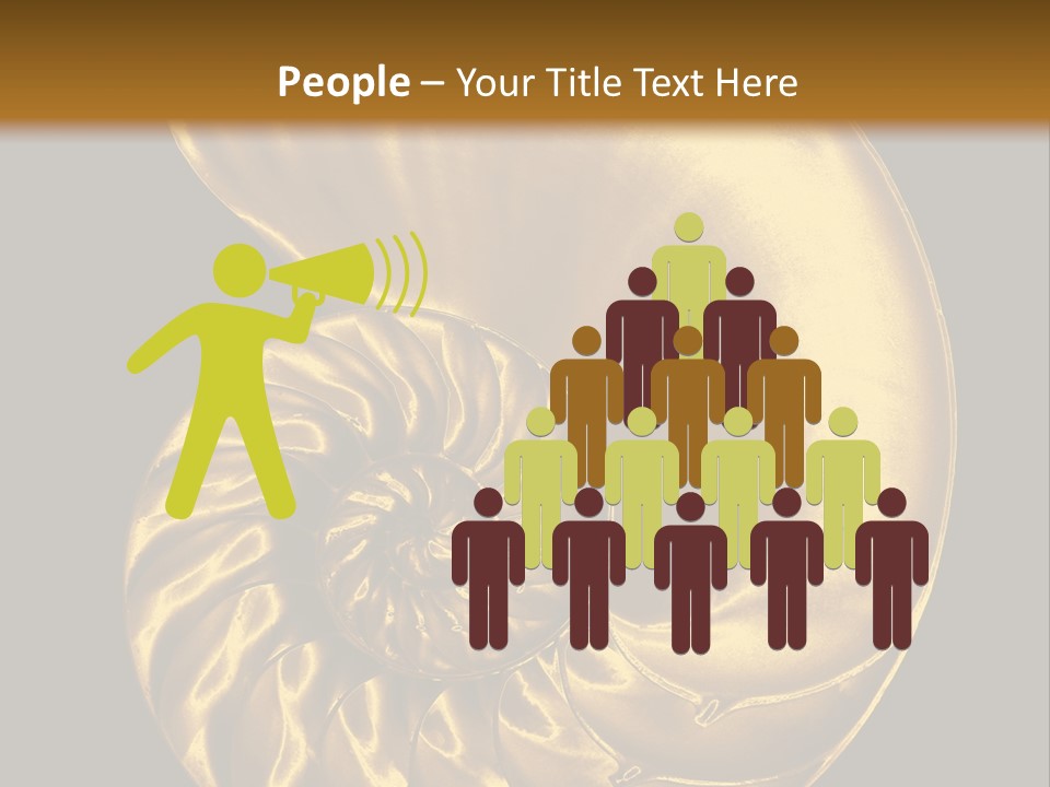 Chambered Nautilus PowerPoint Template