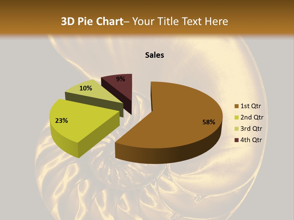 Chambered Nautilus PowerPoint Template